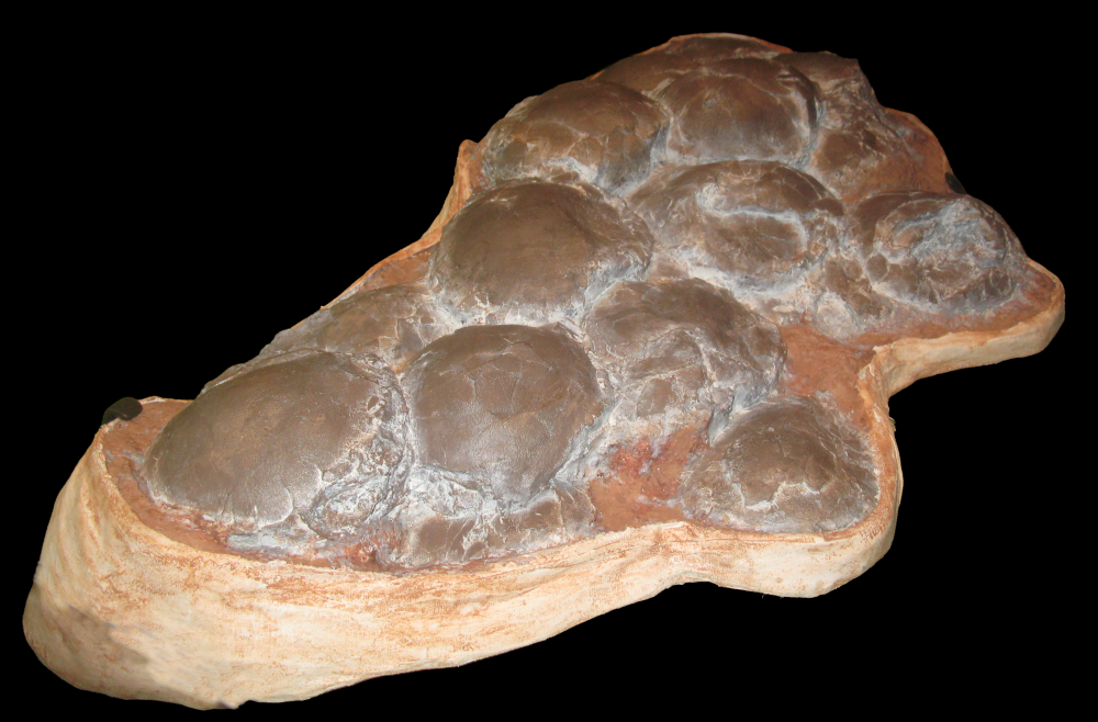 titanosaur egg clutch shows greyish orbs locked together in rock titanosaur egg clutch shows greyish orbs locked together in rock